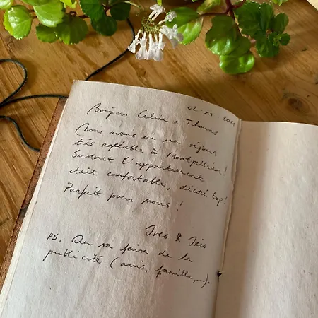 Chic - Les Toits De L'argenterie