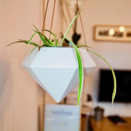 Chic - Les Toits De L'argenterie